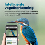 Vogelvoederhuisje - Camera en Audio - AI Vogelherkenning - Hangend